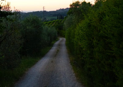 DSC00738