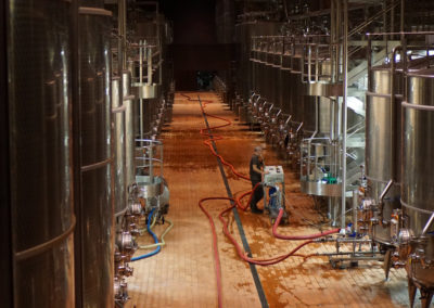 winemaking